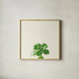 Succulent Simplicity VII Neutral by Felicity Bradley. Shown in a natural wood glass frame for a timeless modern aesthetic. Available as an archival giclee rolled canvas, fine art paper, or poster print. SKU 41654a.