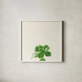 Succulent Simplicity VII Neutral by Felicity Bradley. Shown in a crisp white glass frame for a clean and minimalist style. Available as an archival giclee rolled canvas, fine art paper, or poster print. SKU 41654a.