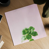 Succulent Simplicity VII on Pink by Felicity Bradley. Shown as a detailed flat fine art print, highlighting archival giclee quality. Available as an archival giclee rolled canvas, fine art paper, or poster print. SKU 34351a.