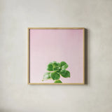 Succulent Simplicity VII on Pink by Felicity Bradley. Shown in a natural wood glass frame for a timeless modern aesthetic. Available as an archival giclee rolled canvas, fine art paper, or poster print. SKU 34351a.