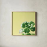 Succulent Simplicity VIII by Felicity Bradley. Shown in a natural wood glass frame for a timeless modern aesthetic. Available as an archival giclee rolled canvas, fine art paper, or poster print. SKU 33841a.