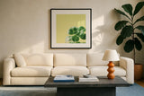 Succulent Simplicity VIII by Felicity Bradley. Displayed in a glass frame with matte in a clean modern living room. Available as an archival giclee rolled canvas, fine art paper, or poster print. SKU 33841a.