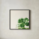 Succulent Simplicity VIII Neutral by Felicity Bradley. Shown in a sleek black glass frame for a contemporary gallery look. Available as an archival giclee rolled canvas, fine art paper, or poster print. SKU 41655a.