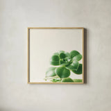 Succulent Simplicity VIII Neutral by Felicity Bradley. Shown in a natural wood glass frame for a timeless modern aesthetic. Available as an archival giclee rolled canvas, fine art paper, or poster print. SKU 41655a.