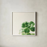 Succulent Simplicity VIII Neutral by Felicity Bradley. Shown in a crisp white glass frame for a clean and minimalist style. Available as an archival giclee rolled canvas, fine art paper, or poster print. SKU 41655a.