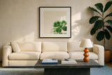 Succulent Simplicity VIII Neutral by Felicity Bradley. Displayed in a glass frame with matte in a clean modern living room. Available as an archival giclee rolled canvas, fine art paper, or poster print. SKU 41655a.