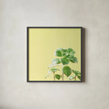 Succulent Simplicity X by Felicity Bradley. Shown in a sleek black glass frame for a contemporary gallery look. Available as an archival giclee rolled canvas, fine art paper, or poster print. SKU 33843a.