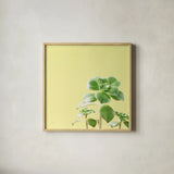 Succulent Simplicity X by Felicity Bradley. Shown in a natural wood glass frame for a timeless modern aesthetic. Available as an archival giclee rolled canvas, fine art paper, or poster print. SKU 33843a.