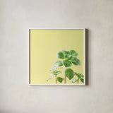 Succulent Simplicity X by Felicity Bradley. Shown in a crisp white glass frame for a clean and minimalist style. Available as an archival giclee rolled canvas, fine art paper, or poster print. SKU 33843a.