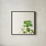 Succulent Simplicity X Neutral by Felicity Bradley. Shown in a sleek black glass frame for a contemporary gallery look. Available as an archival giclee rolled canvas, fine art paper, or poster print. SKU 41657a.