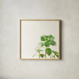 Succulent Simplicity X Neutral by Felicity Bradley. Shown in a natural wood glass frame for a timeless modern aesthetic. Available as an archival giclee rolled canvas, fine art paper, or poster print. SKU 41657a.