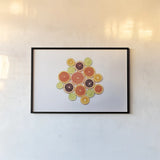 Sunny Citrus I by Felicity Bradley. shown as a paper print in a black flame. Available as a archival giclee rolled canvas, fine art paper, or poster print. SKU 45708i.