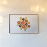 Sunny Citrus I by Felicity Bradley. shown as a paper print in a natural frame. Available as a archival giclee rolled canvas, fine art paper, or poster print. SKU 45708i.