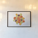 Sunny Citrus II by Felicity Bradley. shown as a paper print in a black flame. Available as a archival giclee rolled canvas, fine art paper, or poster print. SKU 45709i.
