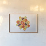 Sunny Citrus II by Felicity Bradley. shown as a paper print in a natural frame. Available as a archival giclee rolled canvas, fine art paper, or poster print. SKU 45709i.