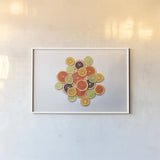 Sunny Citrus II by Felicity Bradley. shown as a paper print in a white frame. Available as a archival giclee rolled canvas, fine art paper, or poster print. SKU 45709i.