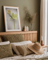 Vintage Hellebore Study II by Felicity Bradley. shown as a paper print in a natural frame. Available as a archival giclee rolled canvas, fine art paper, or poster print. SKU 36949h.