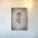 Vintage Hellebore Study VI by Felicity Bradley. shown as a paper print in a natural frame. Available as a archival giclee rolled canvas, fine art paper, or poster print. SKU 36953h.