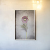 Vintage Hellebore Study VI by Felicity Bradley. shown as a paper print in a white frame. Available as a archival giclee rolled canvas, fine art paper, or poster print. SKU 36953h.