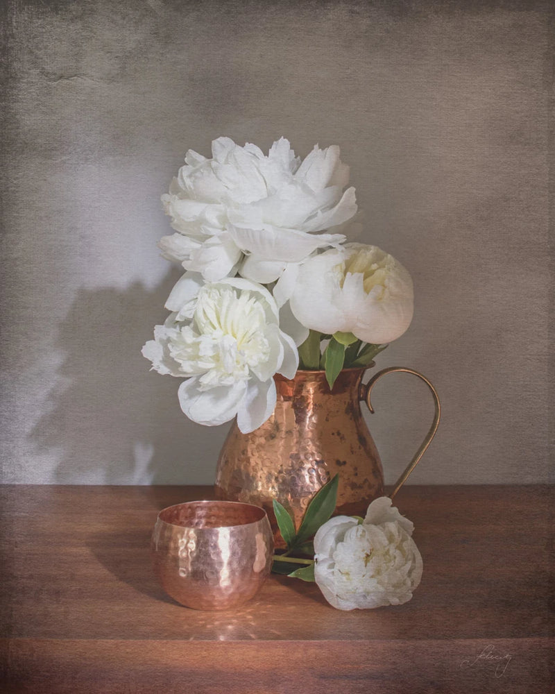 Vintage Peony Dreams Shadows by Felicity Bradley