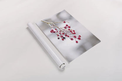 Winter Berries I by Felicity Bradley. shown as a rolled paper print. Available as archival giclee rolled canvas, fine art paper, or poster print. SKU 60542i.