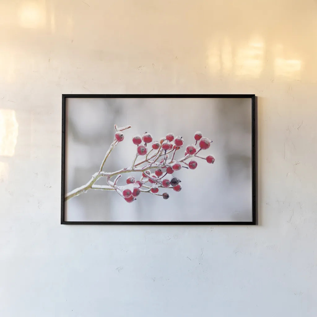 Winter Berries I by Felicity Bradley. shown as a paper print in a black flame. Available as a archival giclee rolled canvas, fine art paper, or poster print. SKU 60542i.