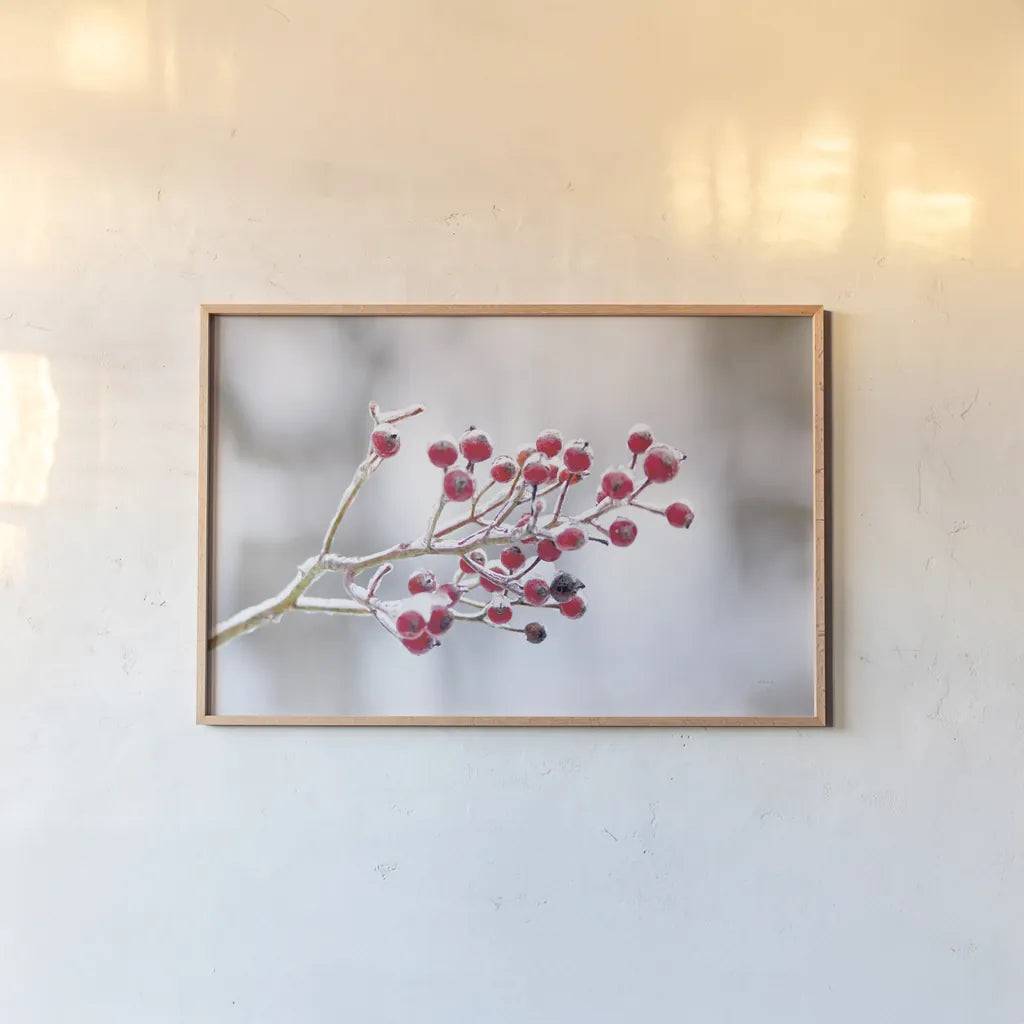 Winter Berries I by Felicity Bradley. shown as a paper print in a natural frame. Available as a archival giclee rolled canvas, fine art paper, or poster print. SKU 60542i.