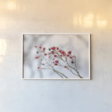 Winter Berries II by Felicity Bradley. shown as a paper print in a white frame. Available as a archival giclee rolled canvas, fine art paper, or poster print. SKU 60543i.