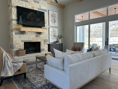 Flowering Plants IV Brown