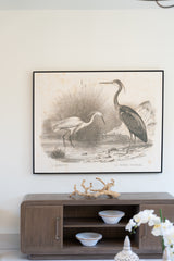 French Birds II