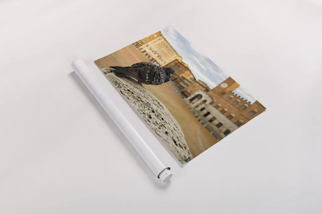 Piazza by Aledanda. shown as a rolled paper print. Available as archival giclee rolled canvas, fine art paper, or poster print. SKU 98036i.