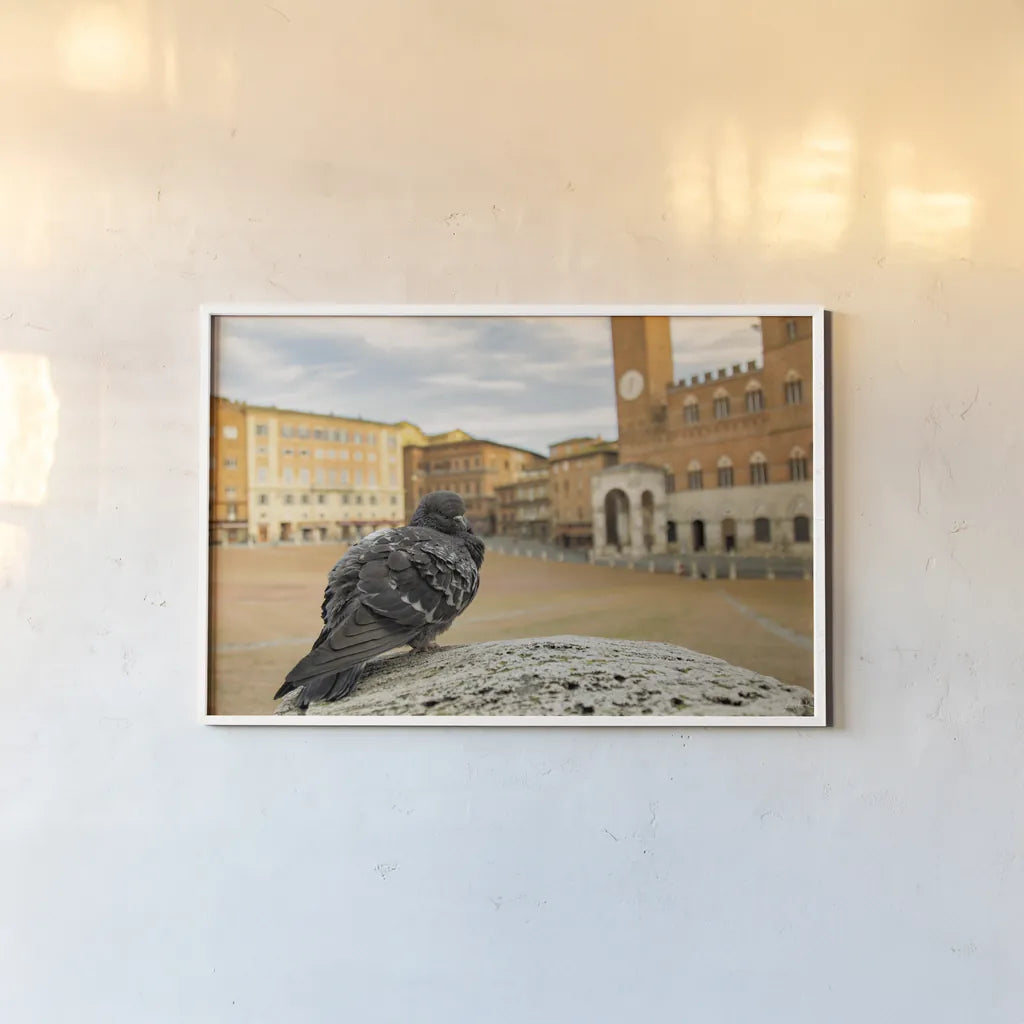 Piazza by Aledanda. shown as a paper print in a white frame. Available as a archival giclee rolled canvas, fine art paper, or poster print. SKU 98036i.