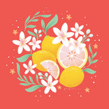 Fruit Punch III by Gia Graham. SKU 82882a. Archival Giclee Fine art print for wall decor.