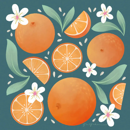 Orange Zest III by Gia Graham. SKU 88934a. Archival Giclee Fine art print for wall decor.