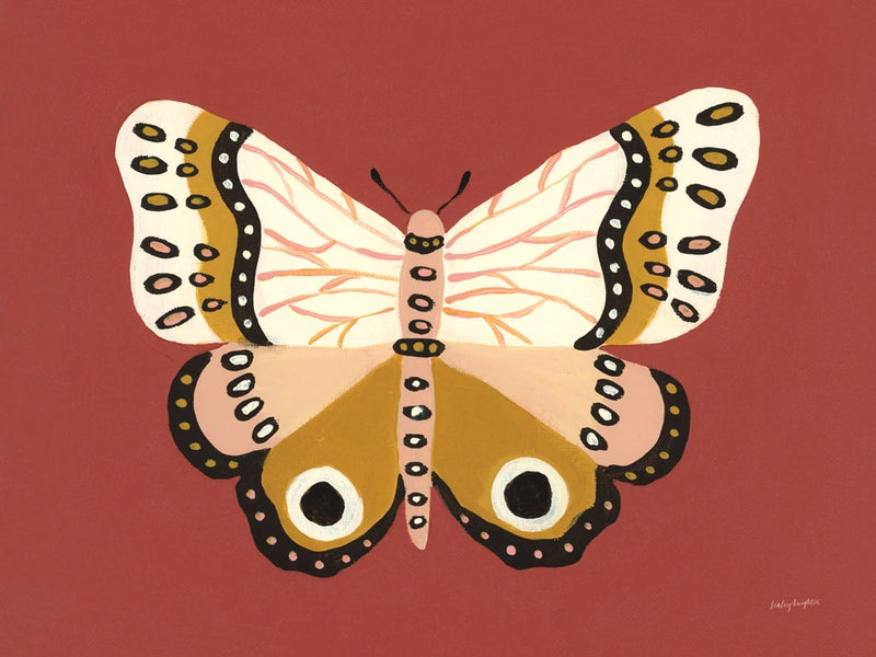Cinnamon Butterfly by Haley Knighten