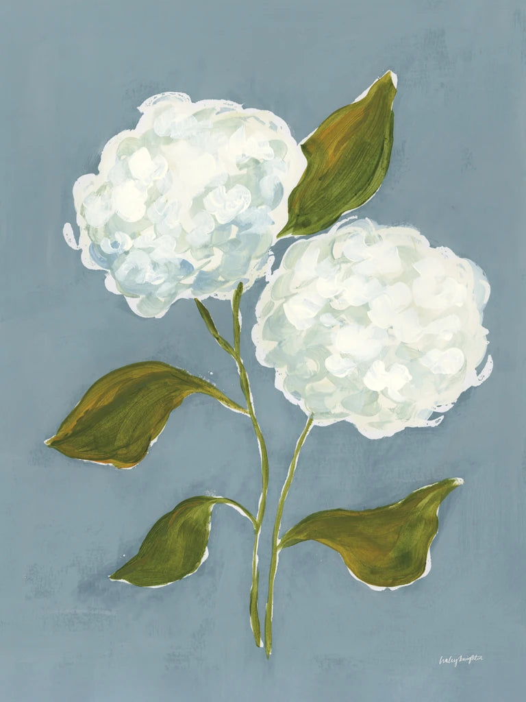 Dusty Blue Hydrangea III by Haley Knighten