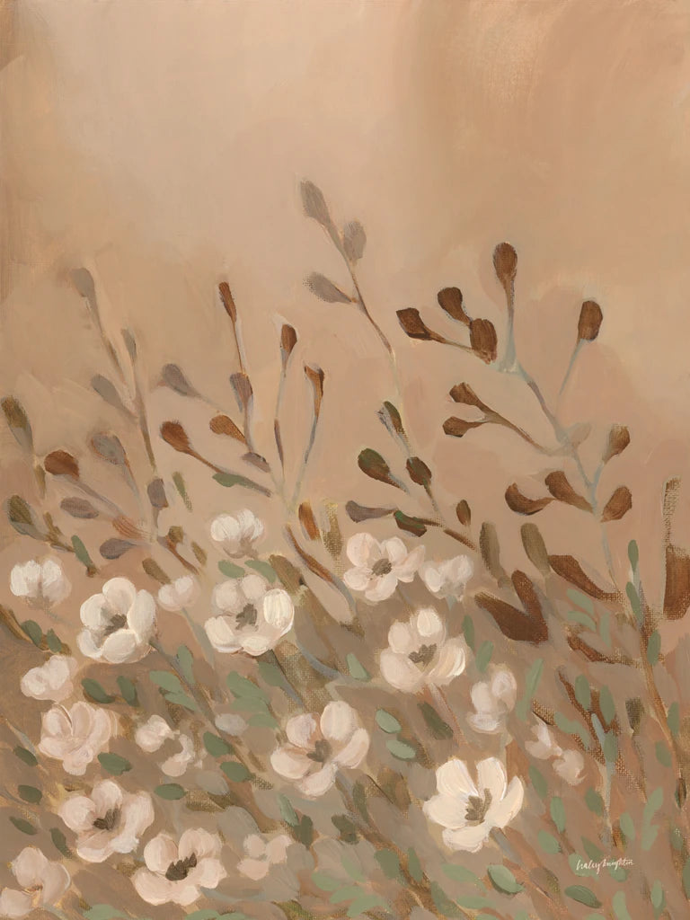 Fawn Meadow by Haley Knighten