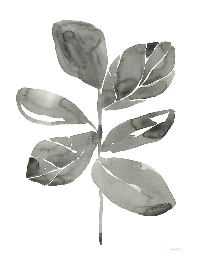 Fiddle Leaf II by Haley Knighten