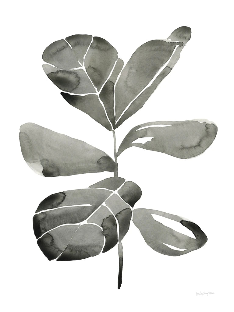 Fiddle Leaf III by Haley Knighten