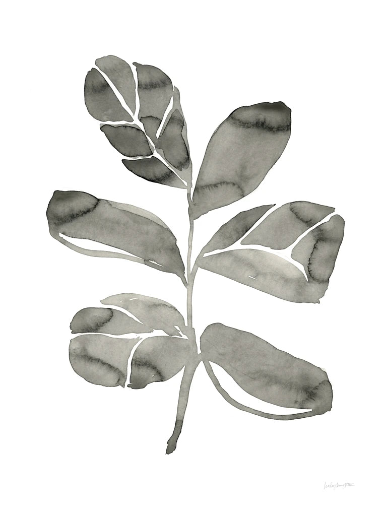 Fiddle Leaf IV by Haley Knighten