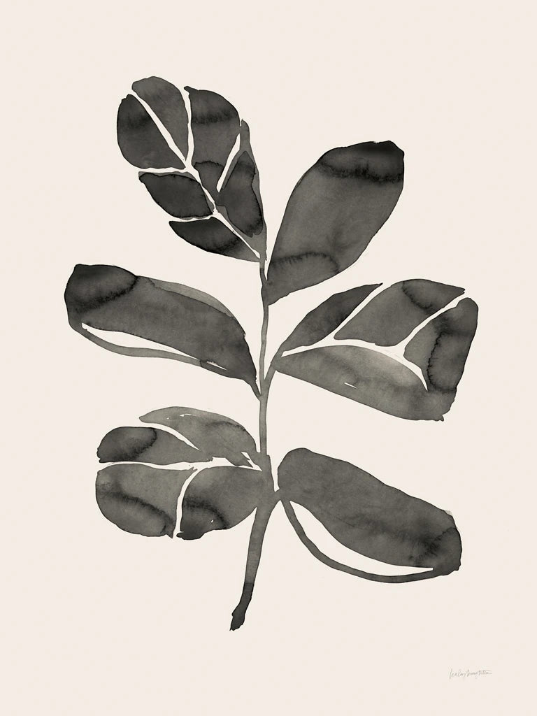 Fiddle Leaf IV Cream by Haley Knighten