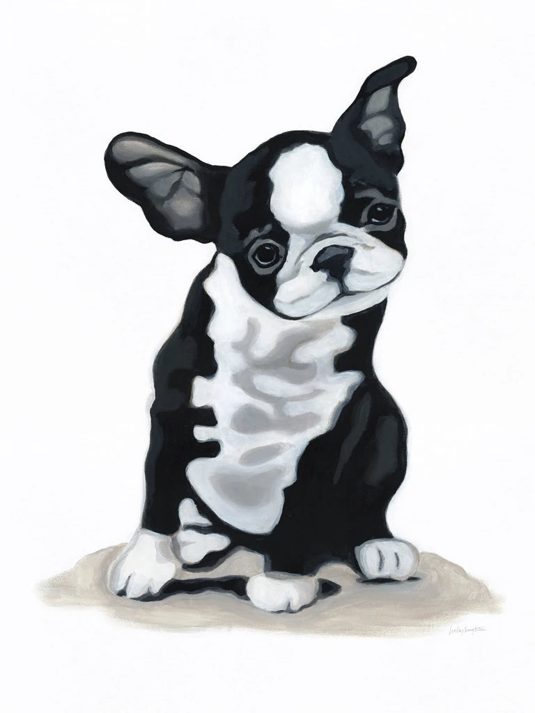 Puppy Rolls by Haley Knighten