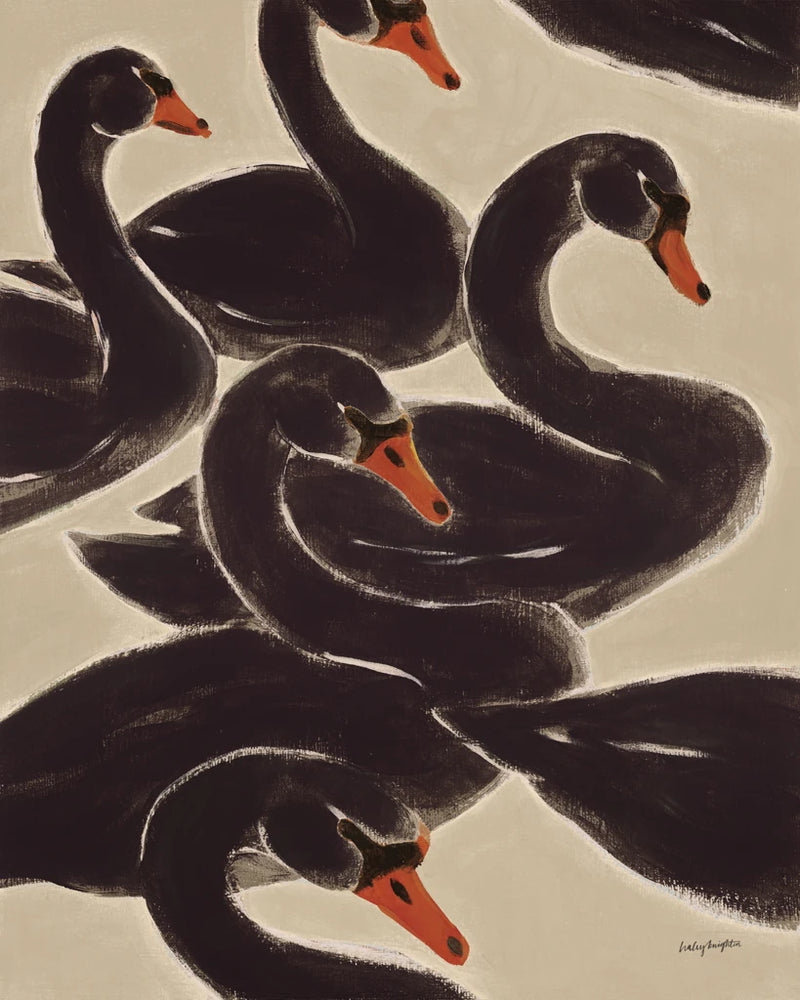 Reprieve Black Swan by Haley Knighten