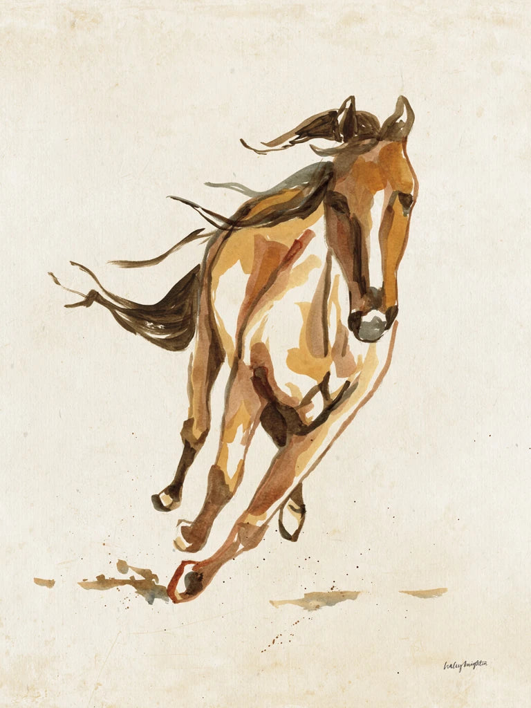 Ride Em by Haley Knighten