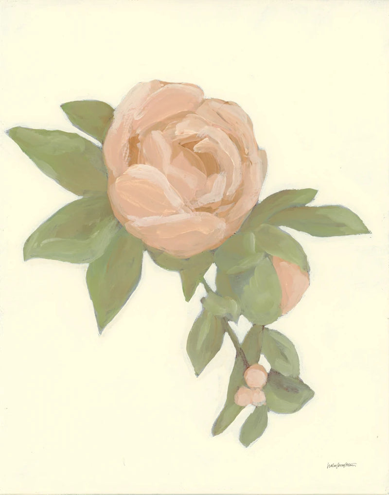 Sweet Peony by Haley Knighten