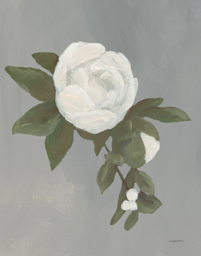Sweet Peony Gray by Haley Knighten