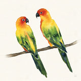 Tropical Fun Bird III by Harriet Sussman. SKU 27953a. Archival Giclee Fine art print for wall decor.