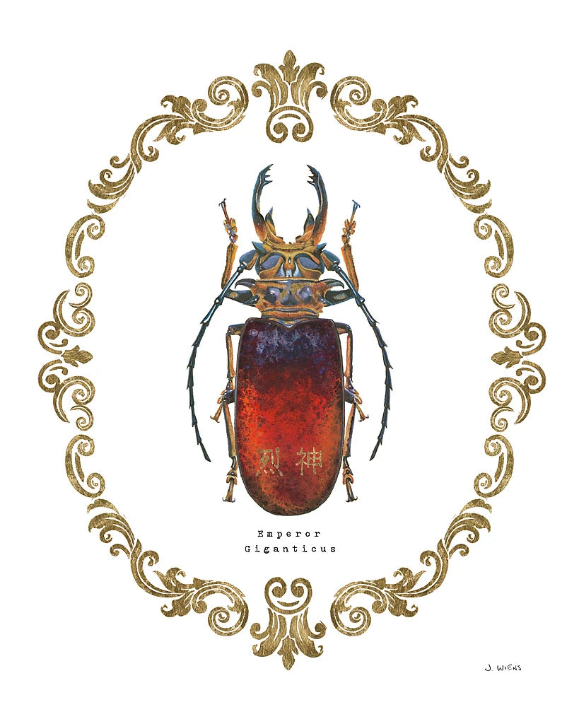 Adorning Coleoptera I by James Wiens