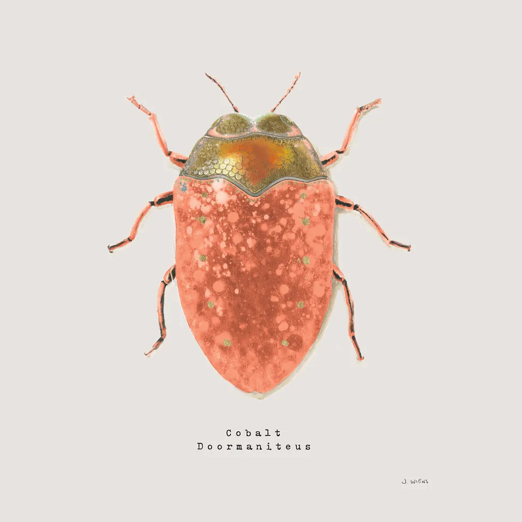 Adorning Coleoptera V Sq Camelia by James Wiens. SKU 42894a. Archival Giclee Fine art print for wall decor.