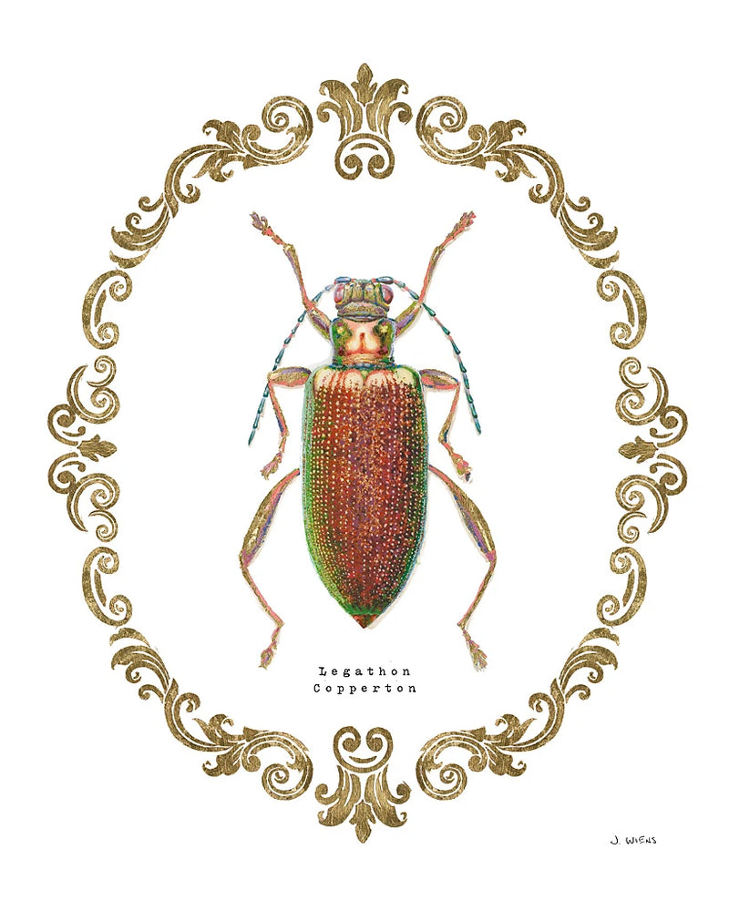 Adorning Coleoptera VI by James Wiens